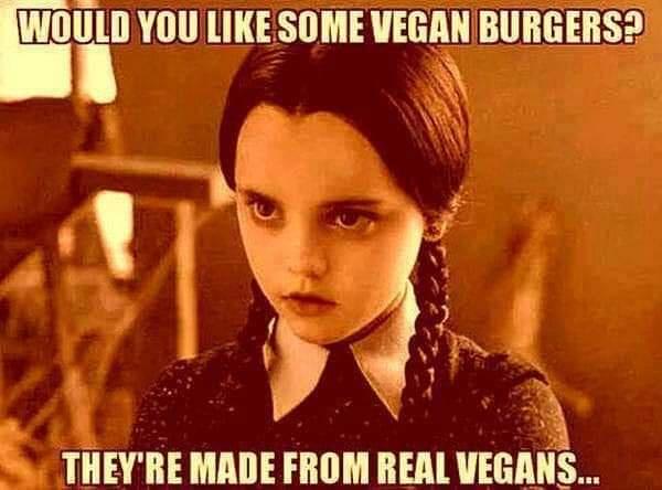 A still image of Wednesday Addams from The Addams Family, looking intensely at the viewer with a serious expression. The…