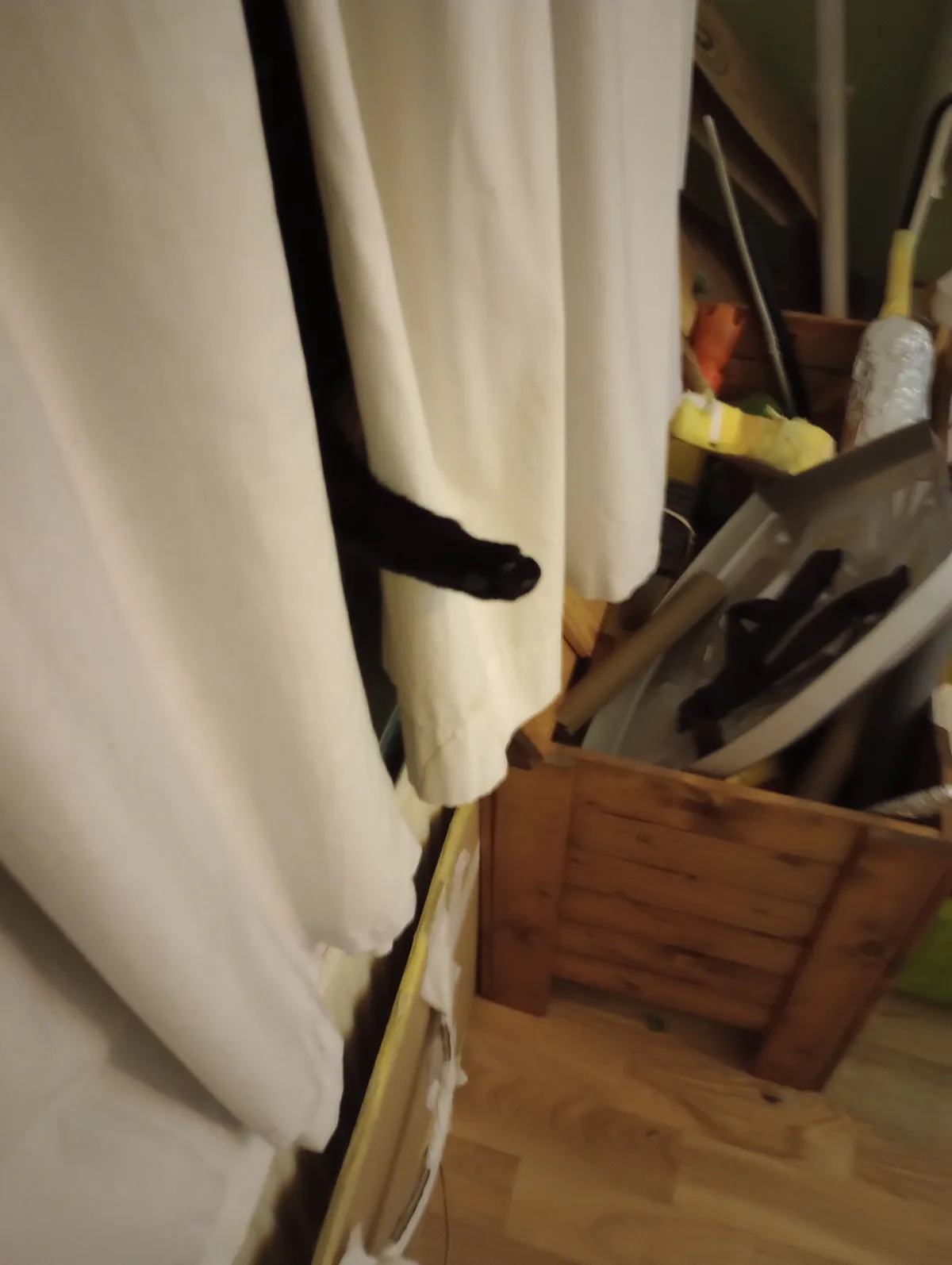 A black cat's paw is visible peeking out from behind a white curtain, with a cluttered wooden storage bin filled with…