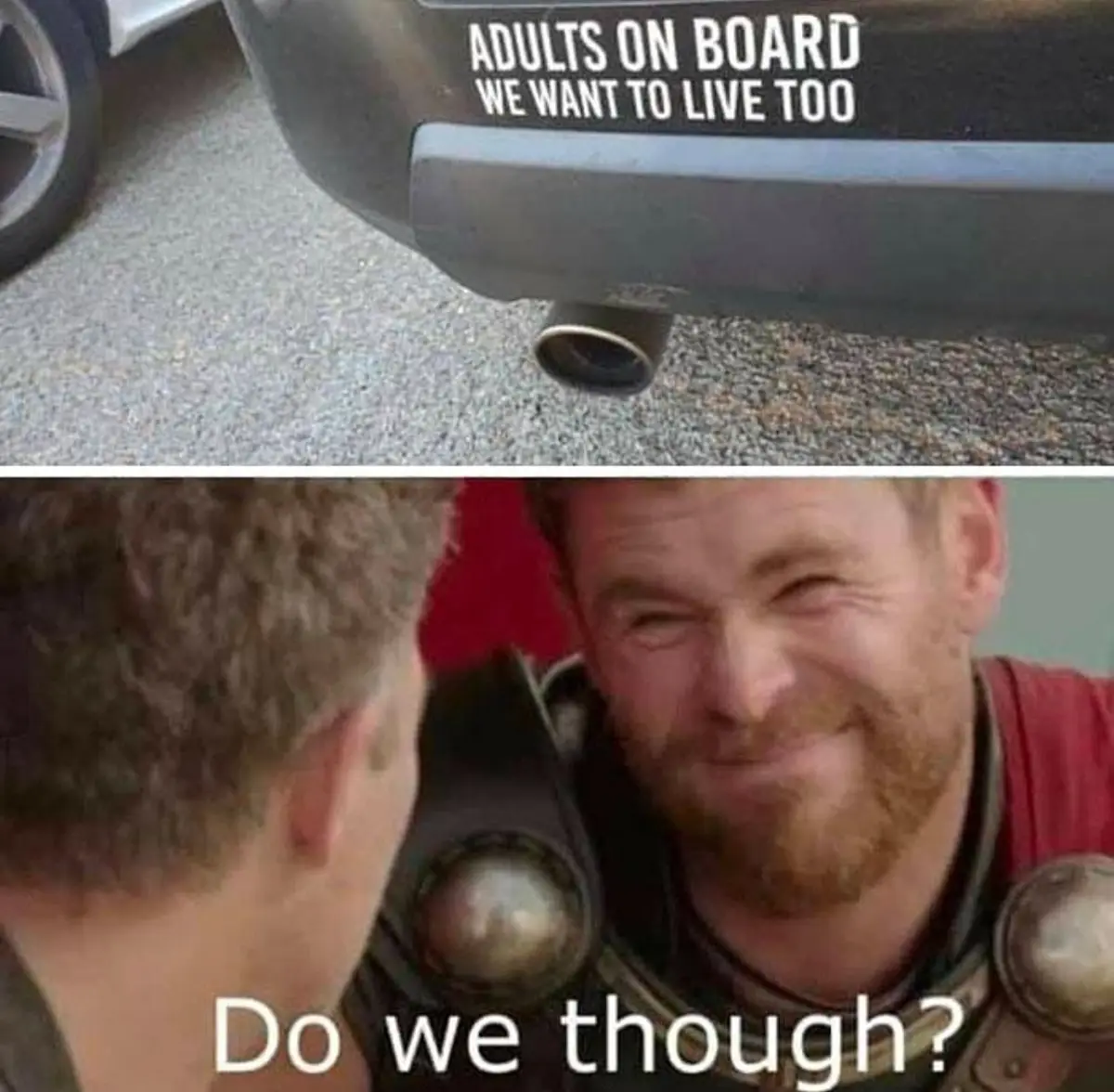 The top panel shows the rear of a dark-colored car with a white bumper sticker reading 'ADULTS ON BOARD WE WANT TO LIVE…