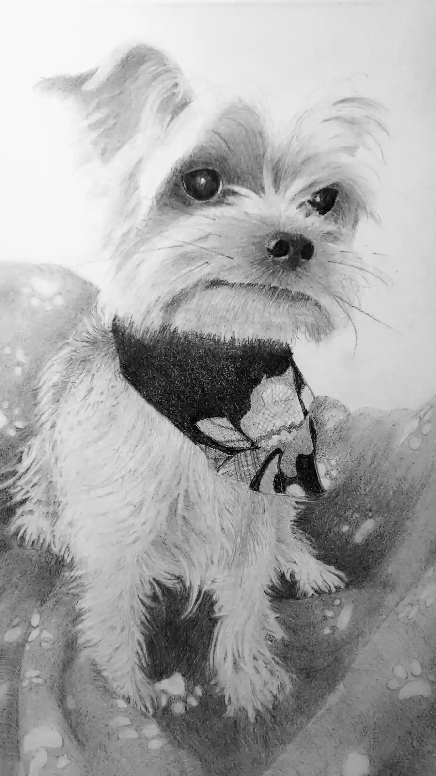 A detailed pencil sketch of a small, fluffy dog with expressive eyes, wearing a patterned bandana, sitting on a blanket with…
