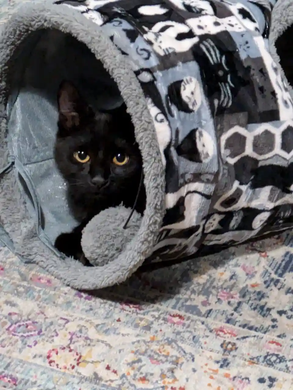 A black cat with bright yellow eyes peeks out from inside a plush, patterned cat tunnel that has a black and white abstract…