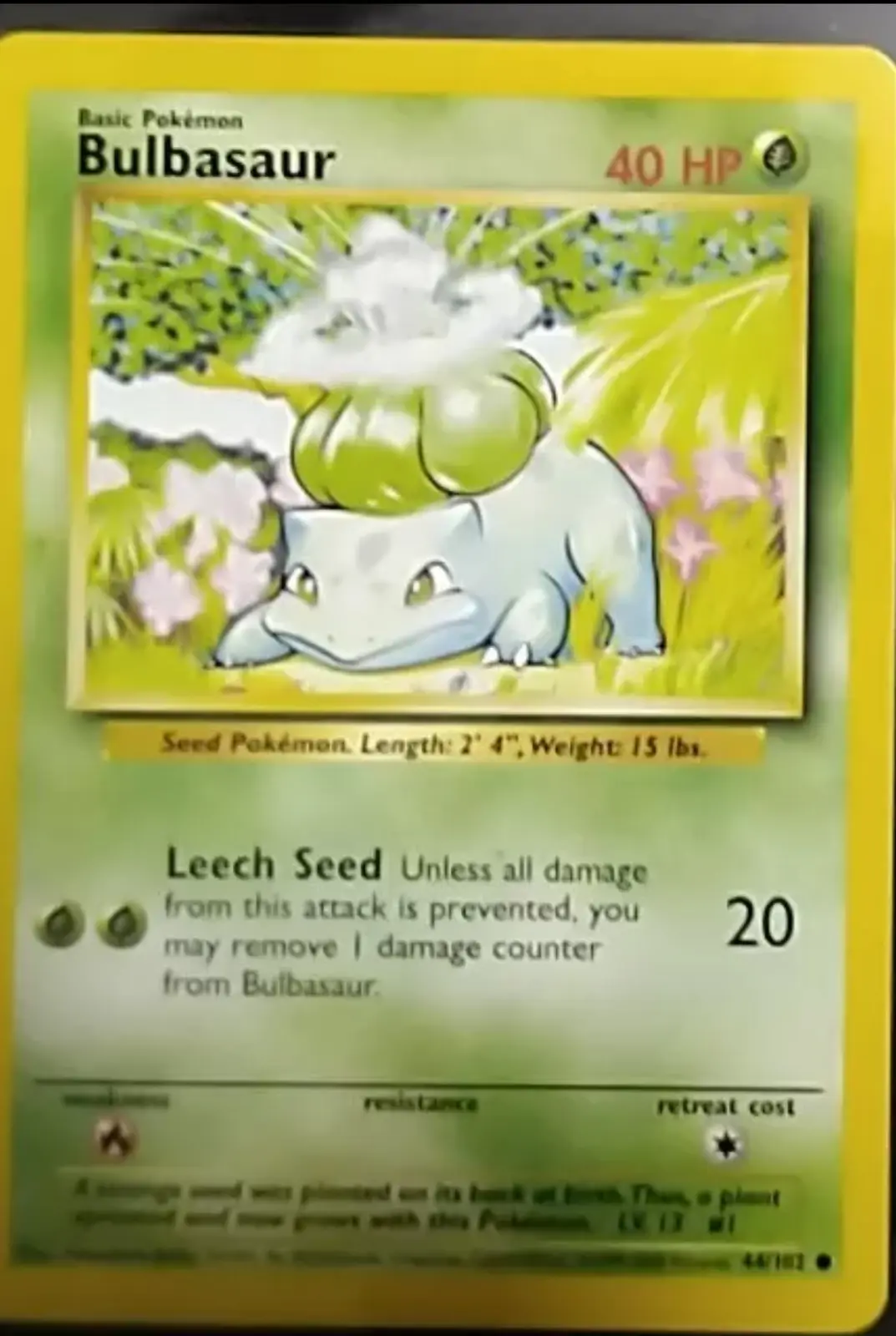 Meet Bulba: The Meme That Needs No Introduction