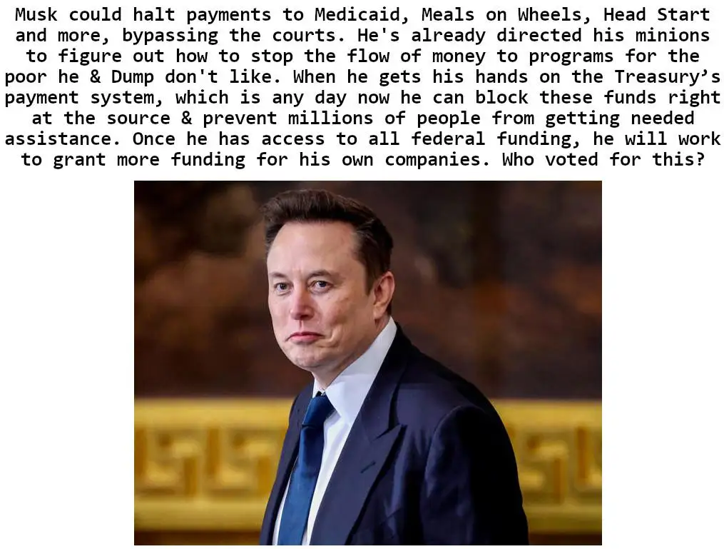 A photo of Elon Musk in a dark suit and tie, looking slightly annoyed or skeptical, overlaid with a large block of text…