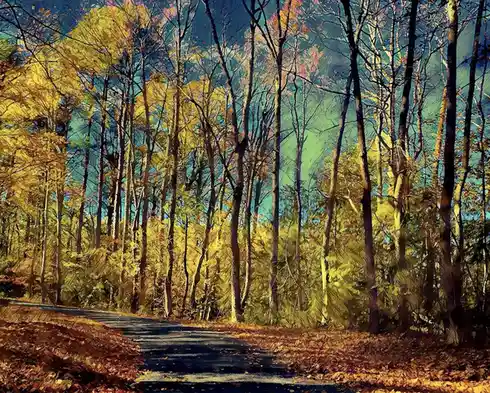 A scenic autumn forest with a winding road covered in fallen leaves, surrounded by tall trees with yellow and orange foliage…