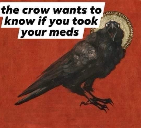 A black crow with a halo is depicted against a red background, with overlaid text reading 'the crow wants to know if you…