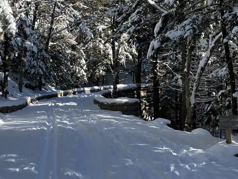 A snowy forest path with visible tracks, flanked by snow-covered trees and stone walls, with a wooden signpost indicating…
