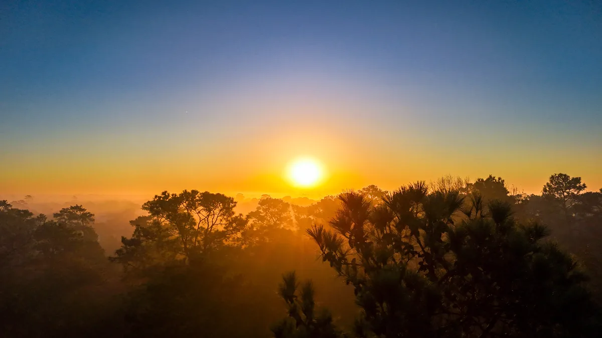A serene sunrise over a forest with misty valleys, featuring a bright sun near the horizon and silhouetted pine trees…