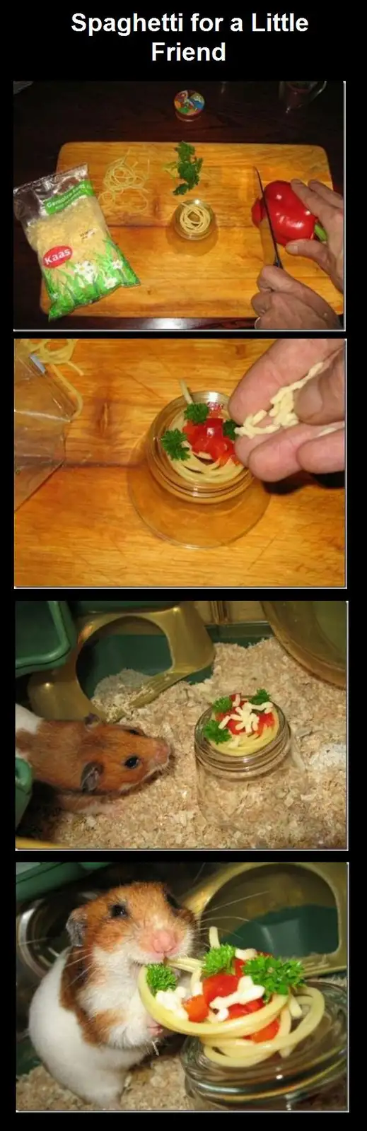 A four-panel image shows a person preparing a tiny meal of spaghetti, cheese, and parsley in a small glass jar, then…
