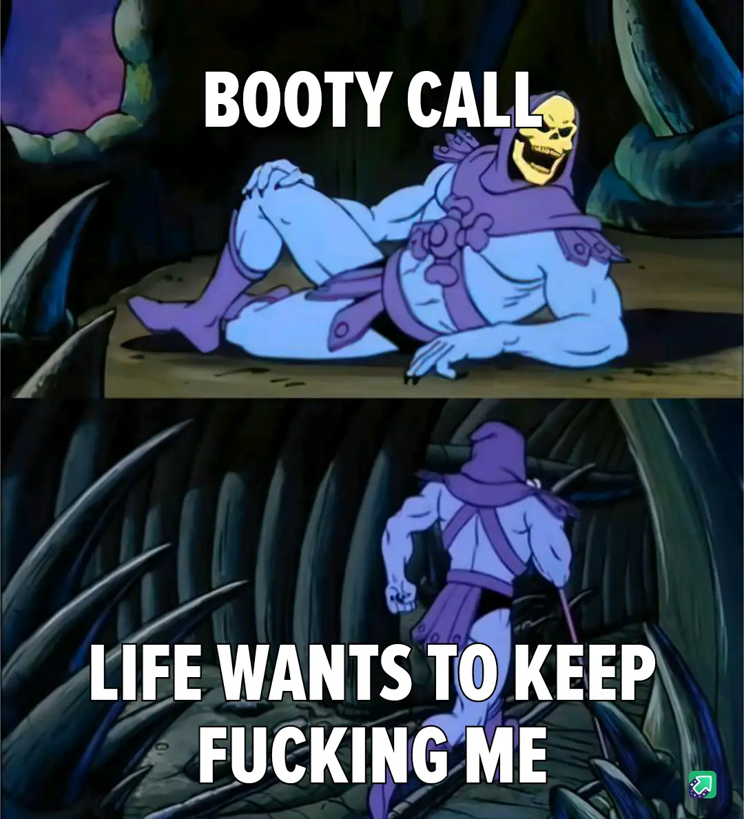 The image is a two-panel meme featuring the animated character Skeletor from 'He-Man and the Masters of the Universe'. In…
