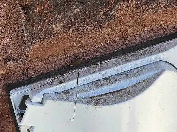 A close-up photo shows a small, long-legged spider-like arachnid perched on the edge of a white plastic utility cover. The…