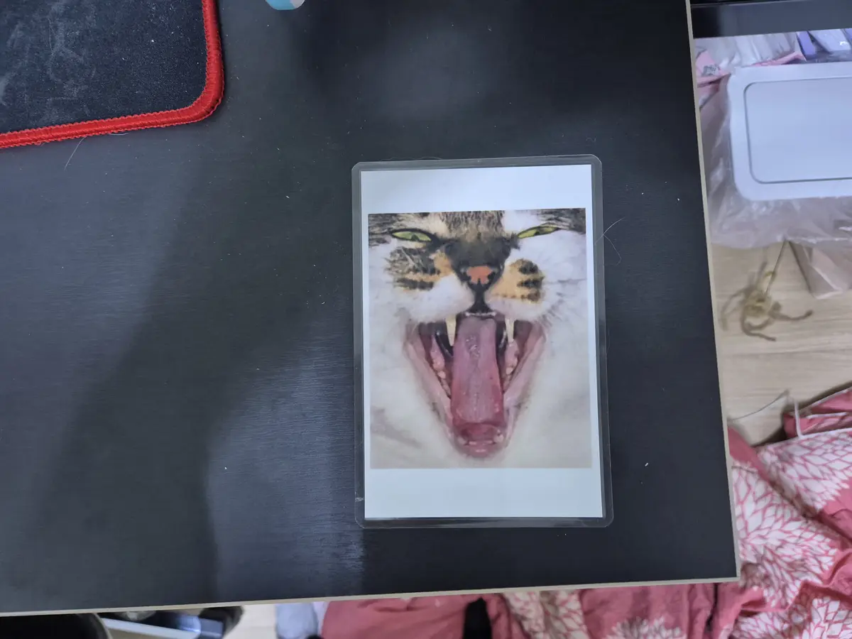 A close-up photo of a cat with its mouth wide open, showing its teeth and long tongue, is printed on a polaroid-style photo…