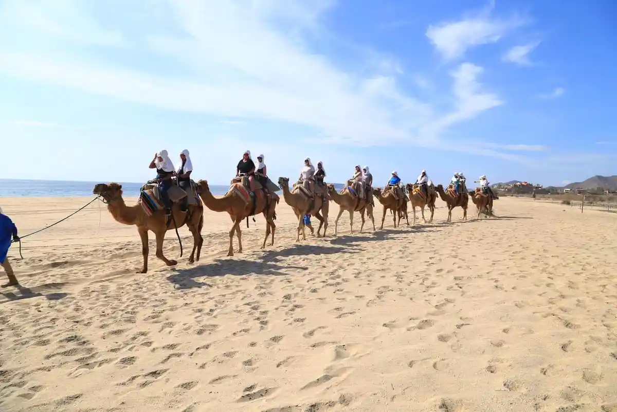 A line of camels with tourists riding them walks across a sandy beach under a bright blue sky with scattered clouds. The…