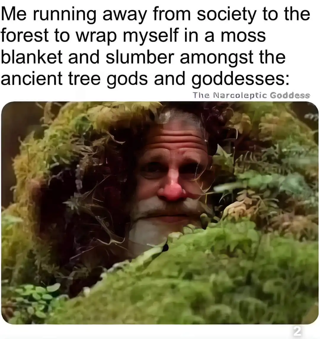 A man with a mustache and glasses is partially obscured by green moss, appearing to be nestled within a forest. The overlaid…