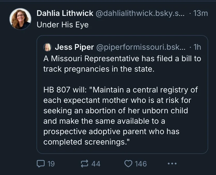 A screenshot of a social media post by Dahlia Lithwick replying to a tweet from Jess Piper. Jess Piper's tweet details…