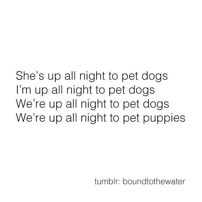 Adorable Puppies: Who Can Resist?
