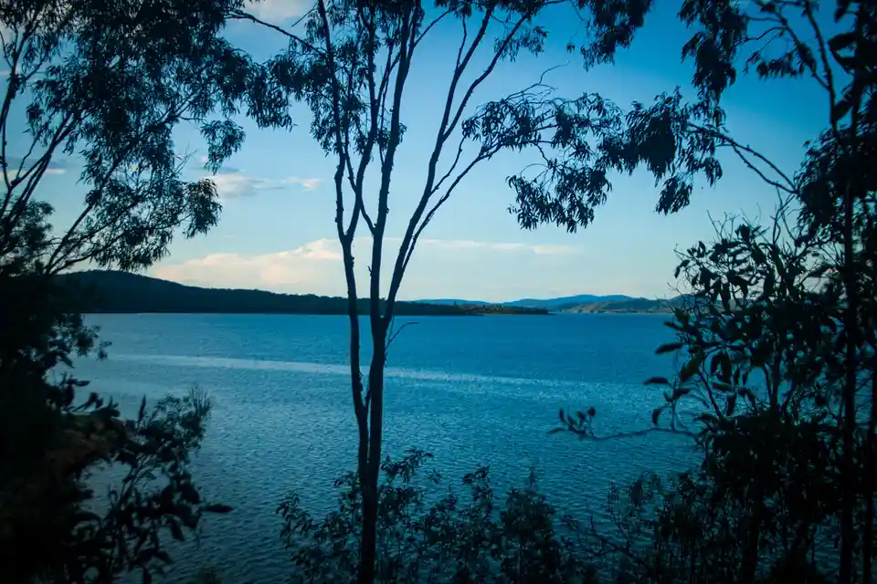 A serene landscape photo shows a wide blue lake viewed through silhouetted tree branches against a clear sky. The overlaid…