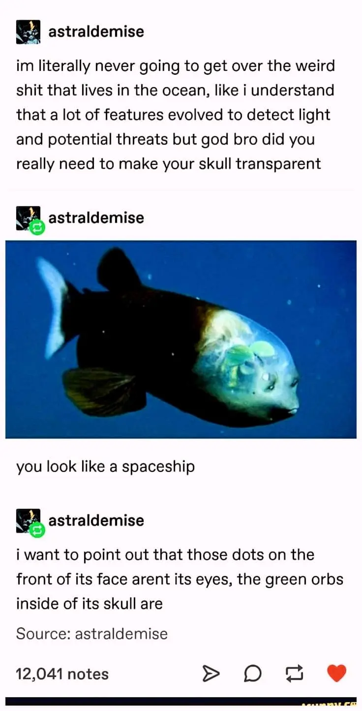 An underwater photo of a fish with a transparent skull revealing glowing green orbs inside, while the front of its face has…