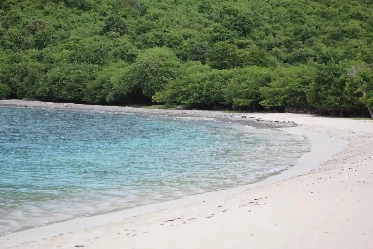 A serene tropical beach with turquoise water gently lapping against a white sand shore, bordered by dense green forest. The…