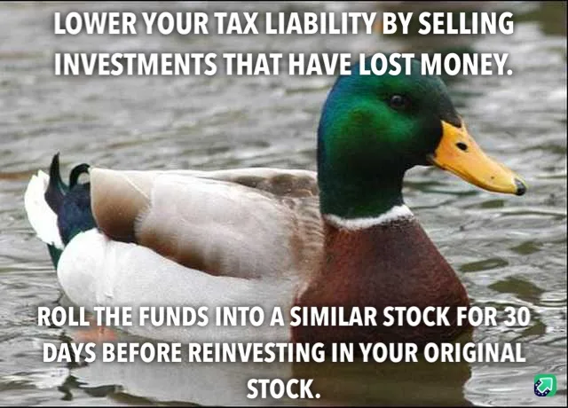 A mallard duck is shown swimming in water, with white text overlaid in two blocks. The top text reads 'LOWER YOUR TAX…