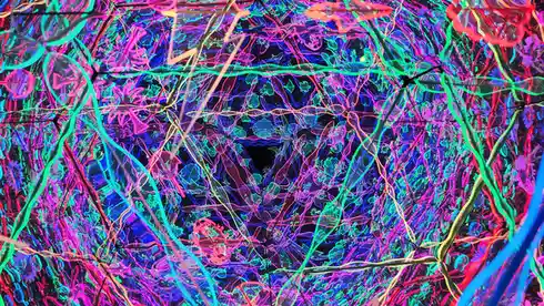 A kaleidoscopic, mirrored installation filled with neon-colored glowing vines, flowers, and abstract shapes in vibrant pink…
