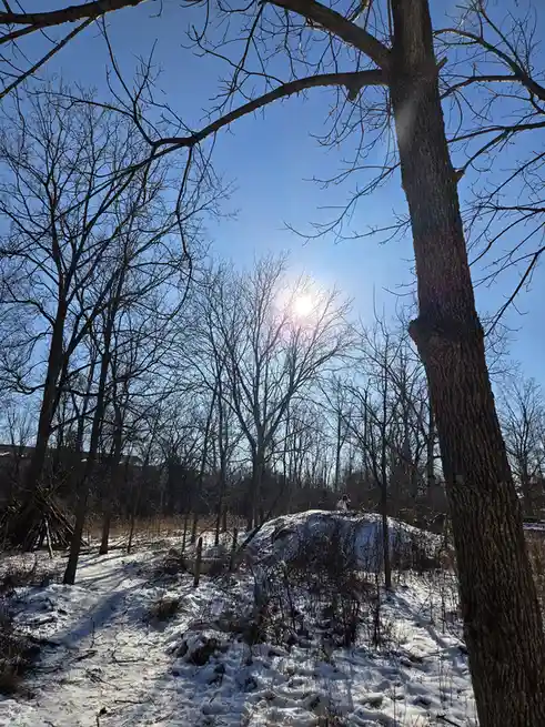 A person sits atop a snow-covered mound in a winter forest, surrounded by bare trees and a bright sun. The overlaid text…
