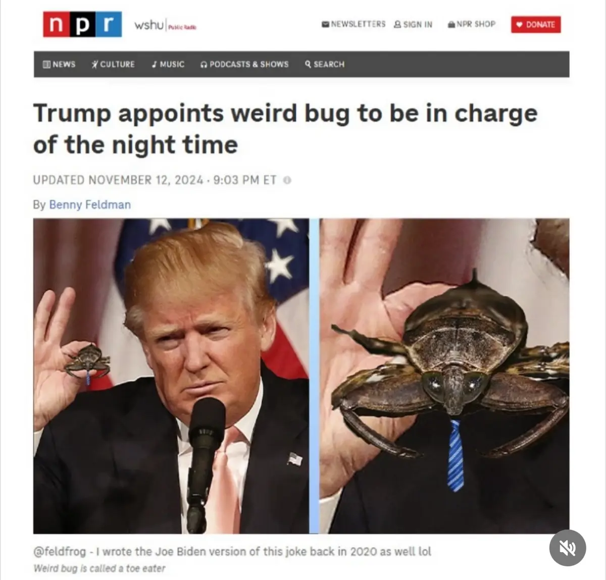 The image displays a fake NPR news article headline about Trump appointing a bug to oversee nighttime. It features a split…