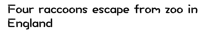 The image displays only black text on a plain white background. The text reads 'Four raccoons escape from zoo in England' in…
