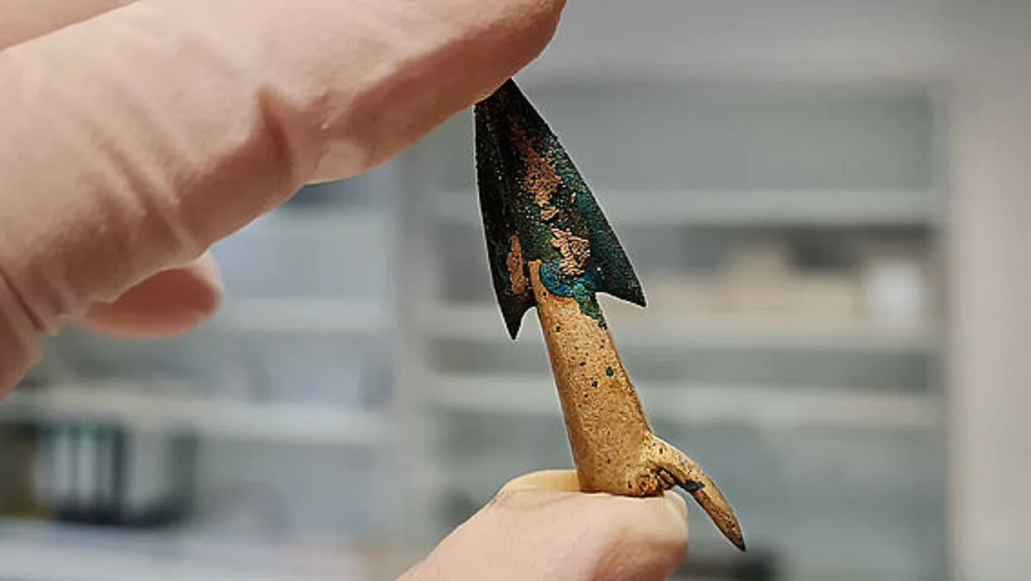 a hand in a latex glove holds a small, ancient-looking arrowhead with a coppery-brown shaft and a dark, patinated metal tip…