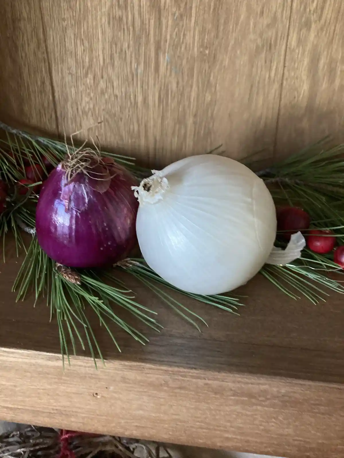 A red onion and a white onion are placed side by side on a wooden surface, nestled among green pine needles and small red…