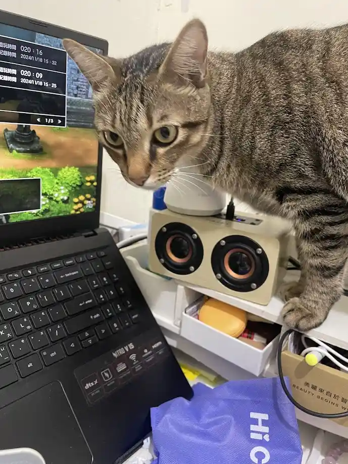 一只虎斑猫站在笔记本电脑和音箱旁，正低头凝视屏幕，屏幕上显示着游戏画面和计时器。猫的表情严肃专注，仿佛在审视或评判玩家的行为。图片上叠加的文字是“貓咪：「你玩的遊戲，我已經玩過了。」”，暗示猫在嘲讽或吐槽人类玩家对游戏的沉迷或重复行为。