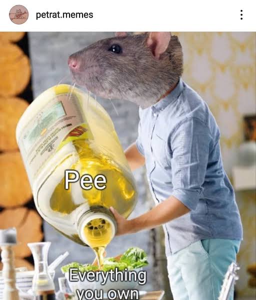 A person with a rat's head is pouring a large bottle of yellow liquid labeled 'Pee' onto a salad, with the text 'Pee' above…