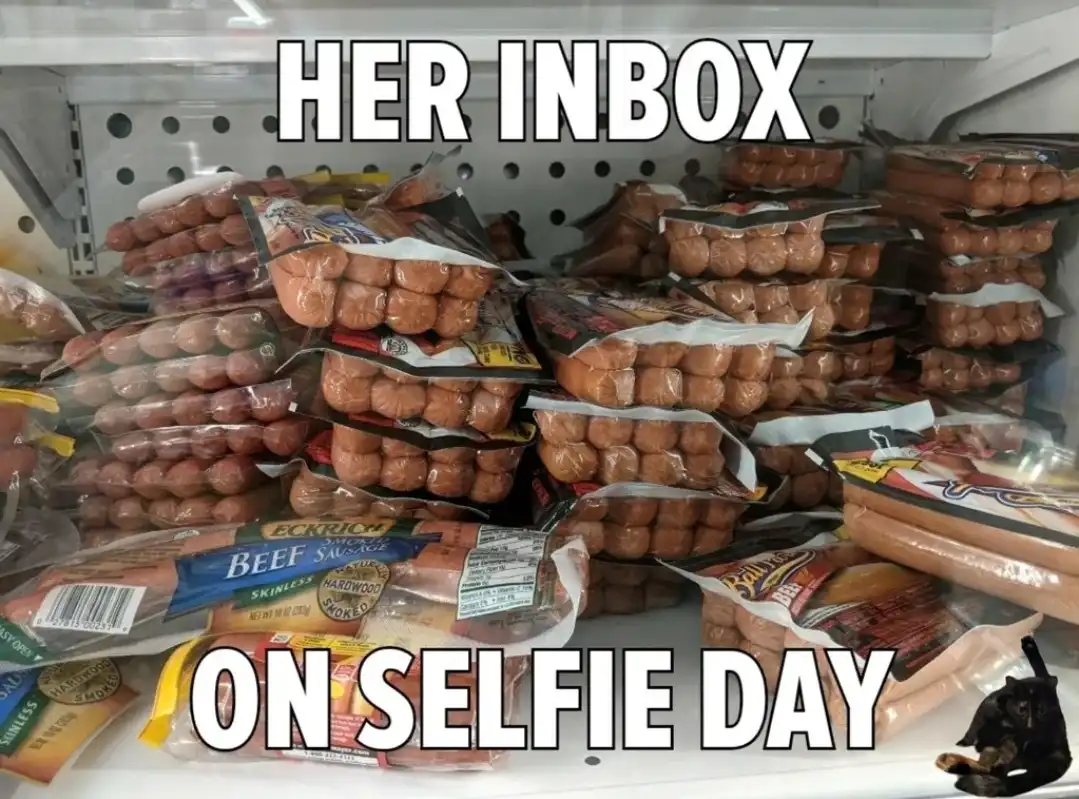 A freezer shelf overflowing with stacks of packaged sausages and hot dogs, with a small black cat sitting in the bottom…