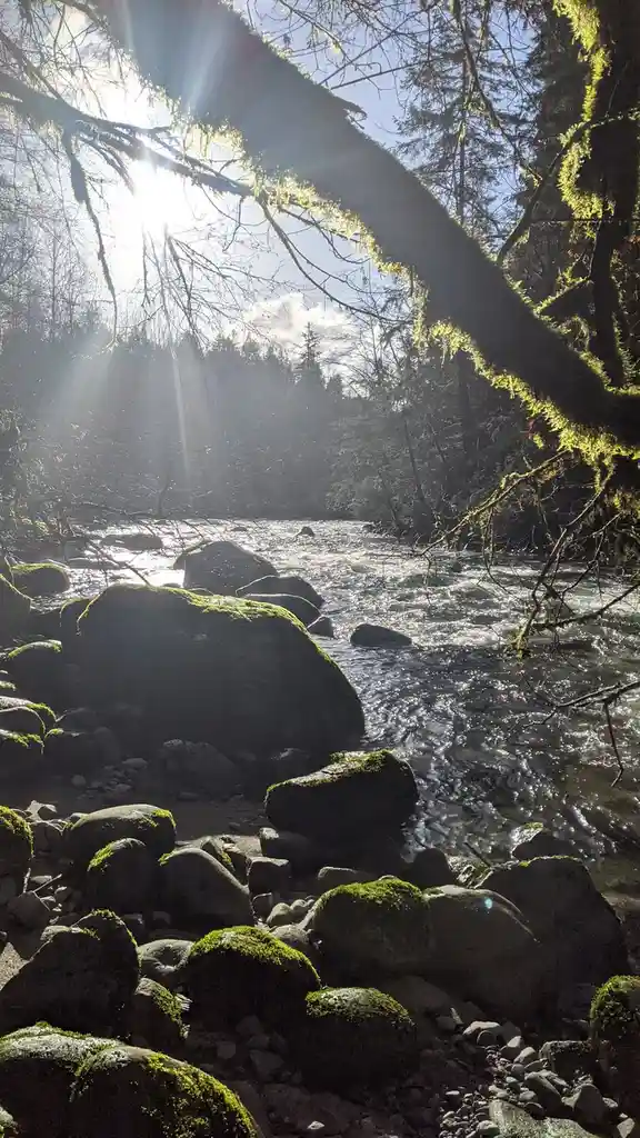 A Serene Winter Dip in the Creek