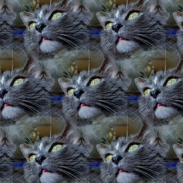The image shows a repeated, kaleidoscopic pattern of a gray cat with green eyes looking upward, its mouth slightly open. The…