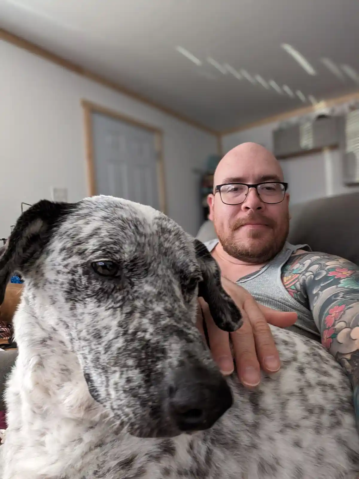 A man with glasses and a tattooed arm sits behind a large, speckled grey-and-white dog, petting it while looking at the…