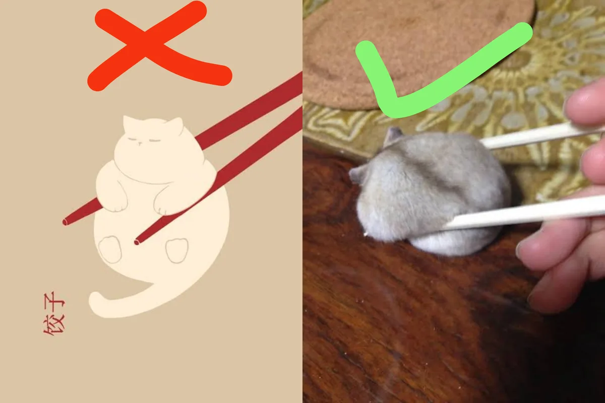 The image is split: left side shows a cartoon cat shaped like a dumpling (with Chinese characters '饺子' meaning dumpling)…