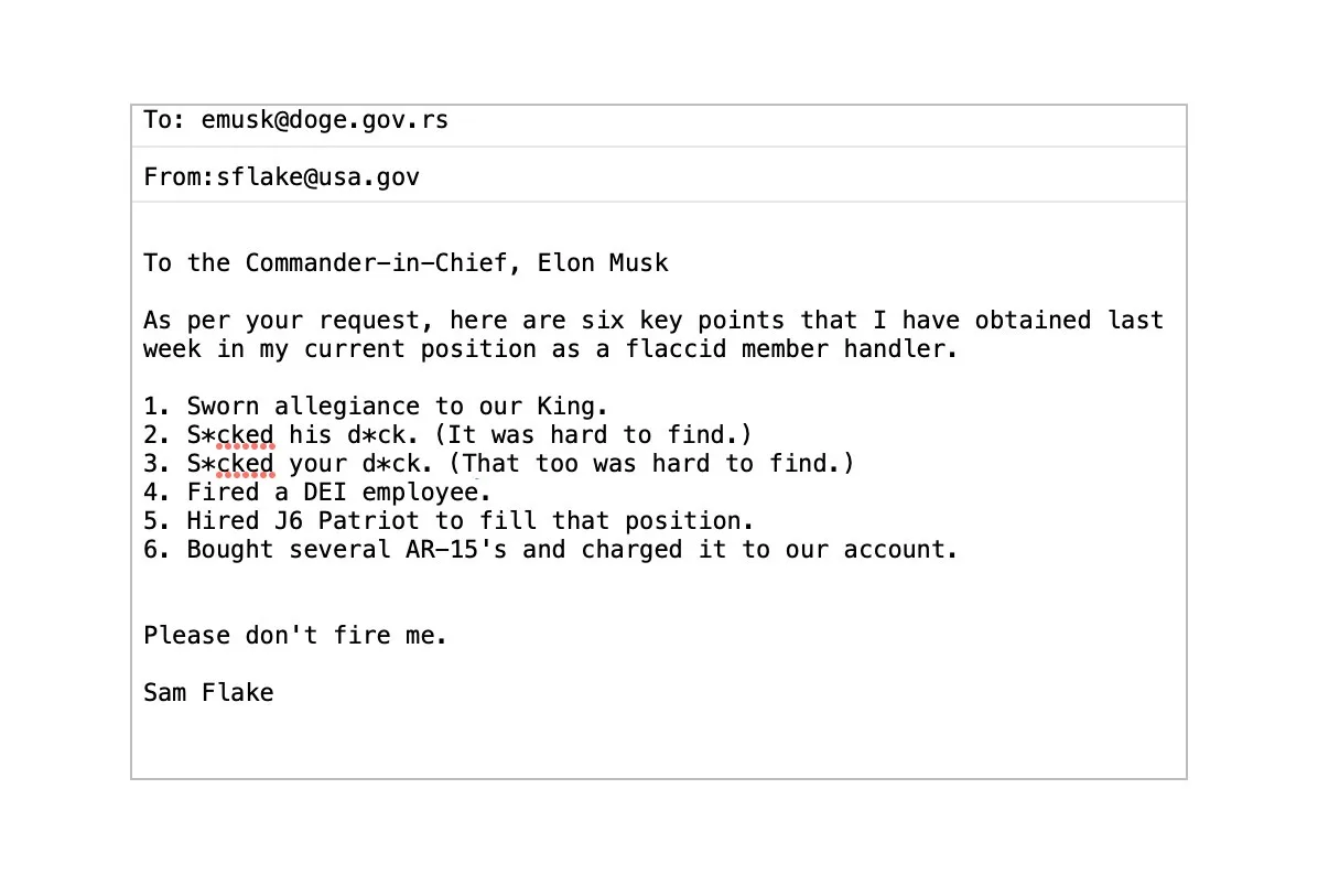 A mock email with a satirical 'flaccid member handler' report to Elon Musk, listing absurd actions like 's*cked his d*ck'…