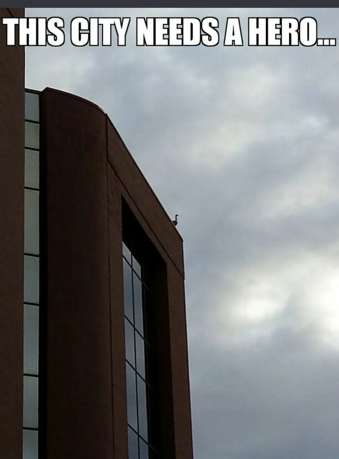 A low-angle shot shows the corner of a modern brown building with glass windows against a cloudy sky. Perched precariously…