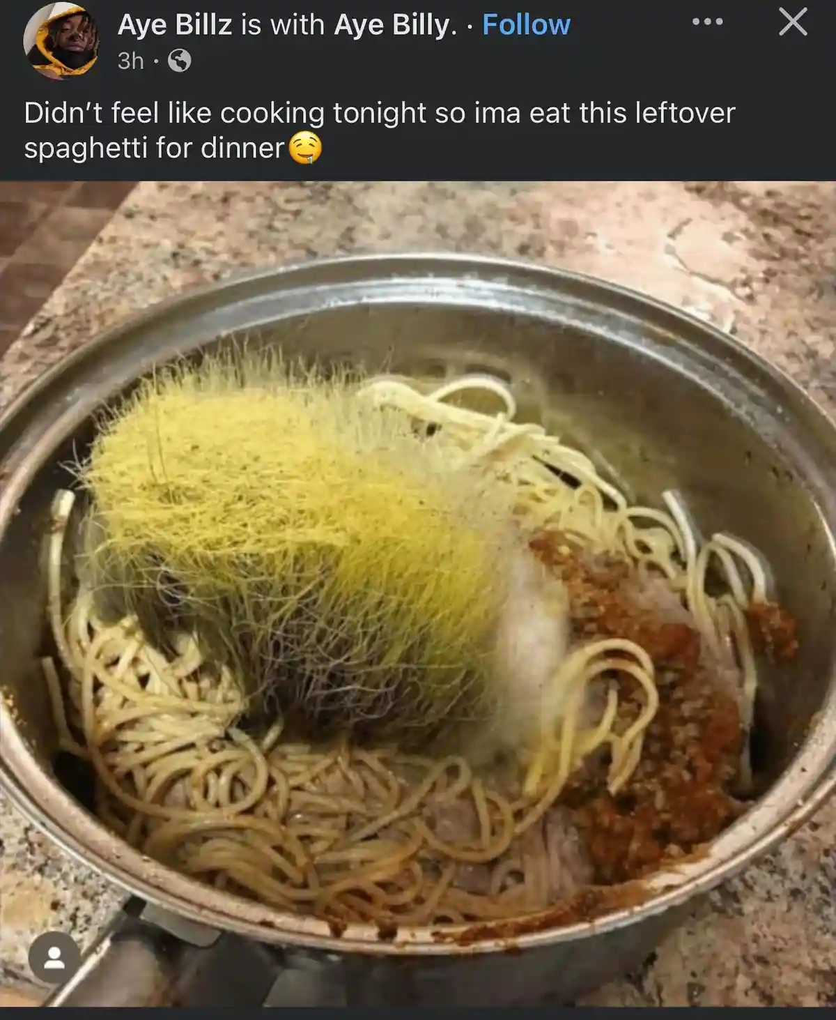 A close-up photo shows a metal pot filled with spaghetti and sauce, but a large, fuzzy, yellowish mass resembling a rat's…