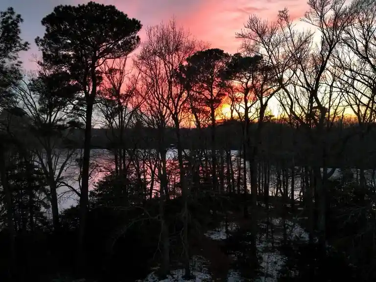 A serene winter sunset over a lake, framed by silhouetted trees with bare branches and patches of snow on the ground. The…