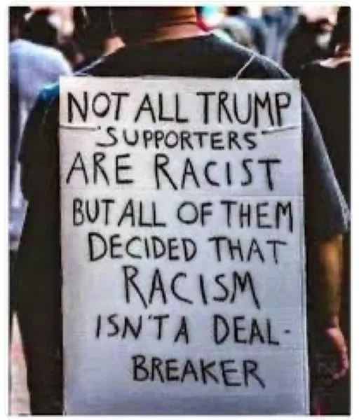 A person viewed from behind holds a handmade protest sign with handwritten text. The sign reads: 'NOT ALL TRUMP SUPPORTERS…