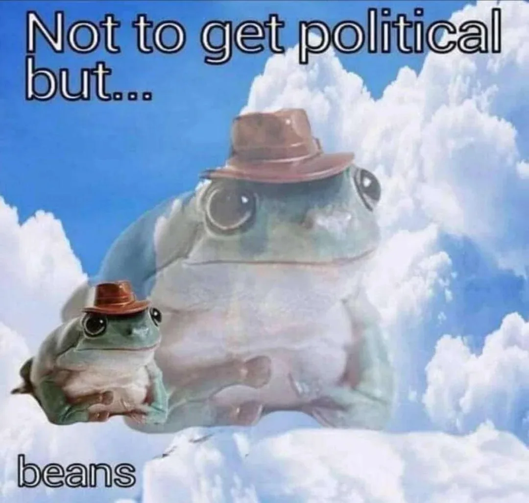 Two frogs wearing brown hats float in a cloudy sky, one large and one small, with text above reading 'Not to get political…
