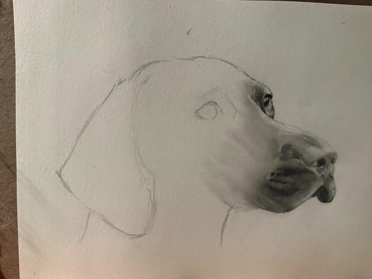 A pencil sketch of a dog's head on paper, where the right side is heavily shaded and detailed while the left side remains as…