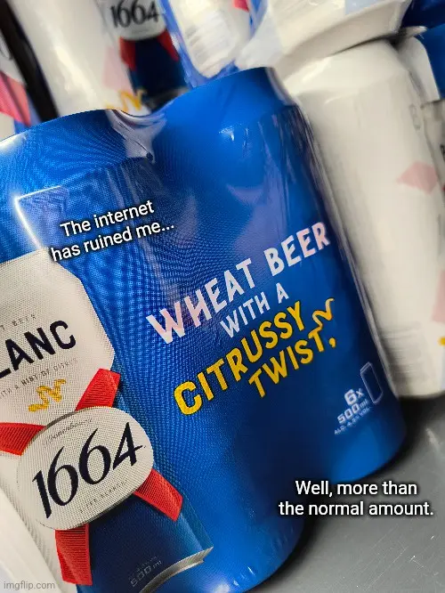 A close-up photo of a blue 1664 wheat beer can with a citrusy twist, showing text overlaid that reads 'The internet has…
