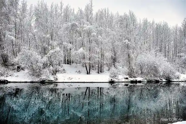A serene winter landscape shows snow-covered trees lining a calm body of water, with their intricate branches reflected in…