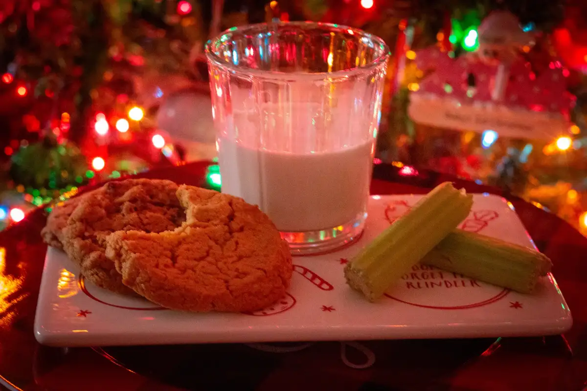 Grateful for Santa: Reflecting on a Wonderful Year