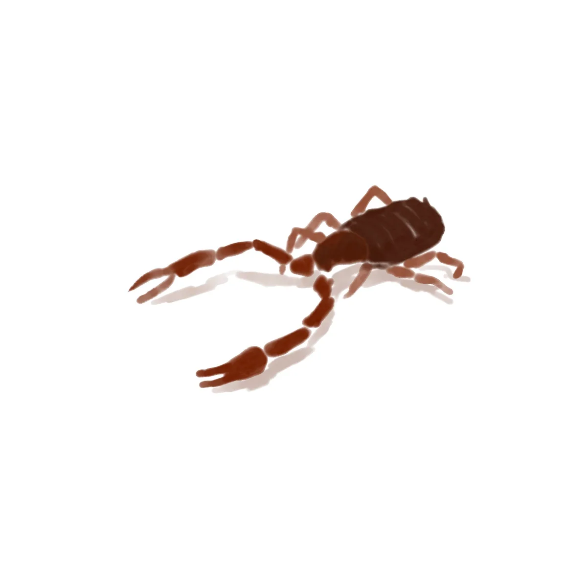 A simple, stylized illustration of a brown scorpion against a plain white background, with no text or additional elements…