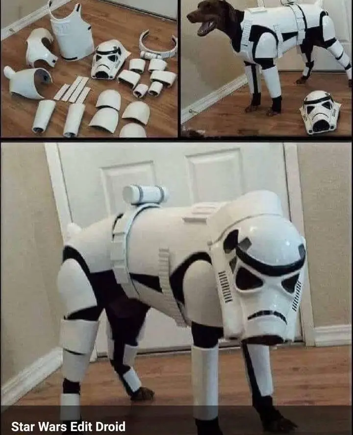 A dog is shown being dressed in a full white and black Stormtrooper costume from Star Wars, with the helmet on its head. The…