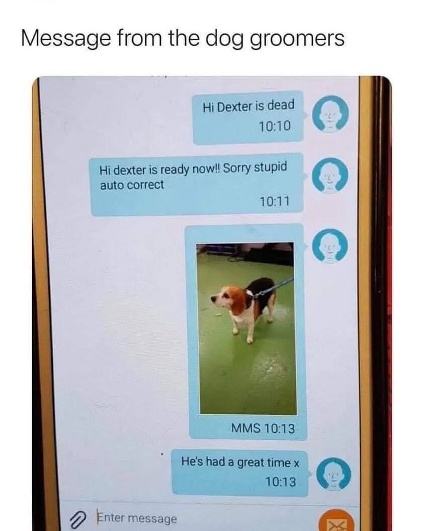 A screenshot of a phone text conversation with a dog groomer, where the first message says 'Hi Dexter is dead', the second…
