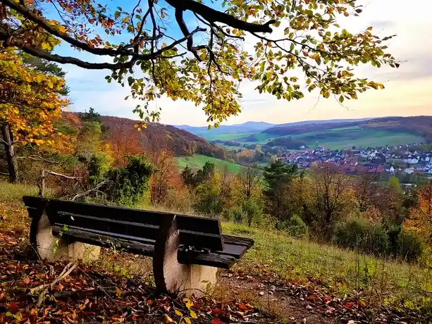 A wooden bench sits on a grassy hillside covered in fallen autumn leaves, overlooking a scenic valley with rolling hills…